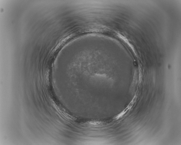 X0000059080154200510211550