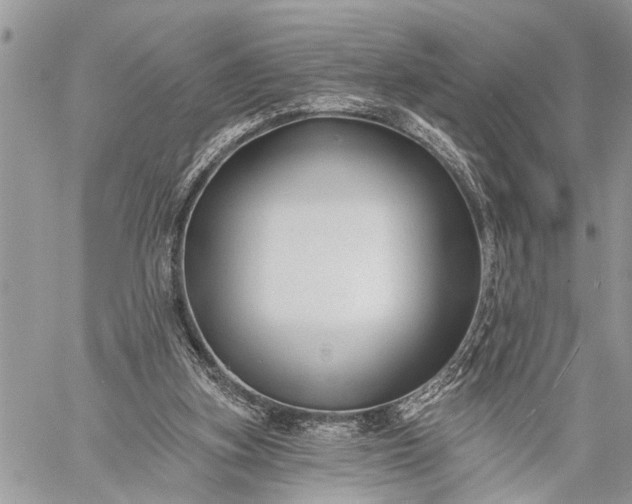 X0000059080155200510211550