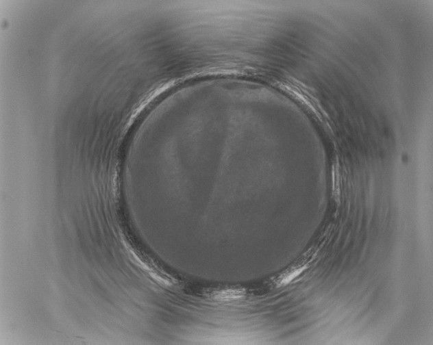 X0000059080156200510211550