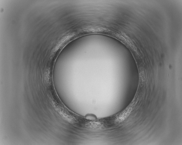 X0000059080159200510211551