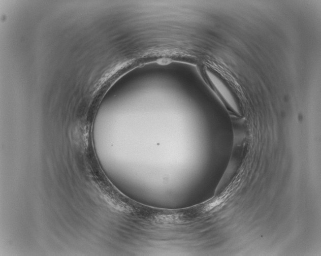 X0000059080160200510211551