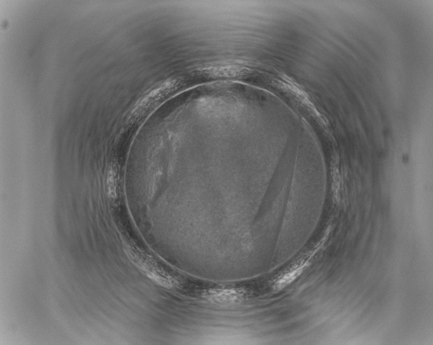 X0000059080161200510211551