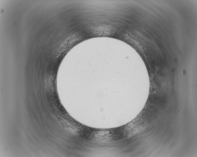 X0000059080162200510211551