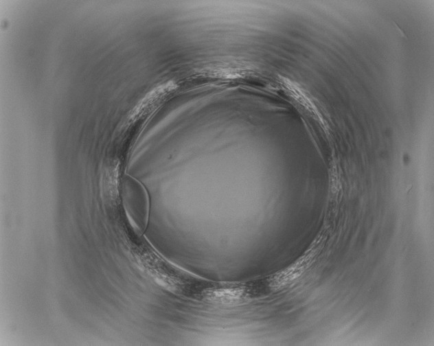 X0000059080163200510211551