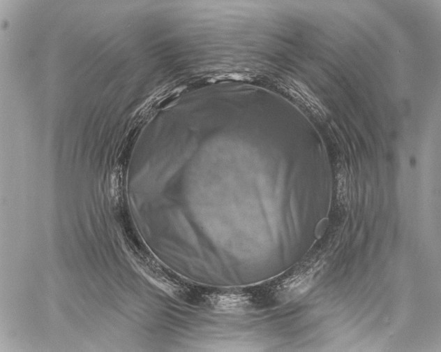 X0000059080165200510211551