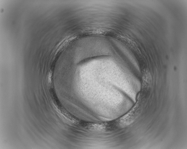 X0000059080166200510211551