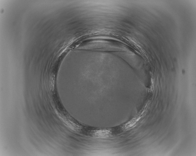 X0000059080168200510211551