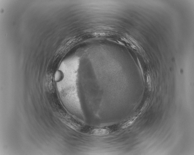 X0000059080169200510211551