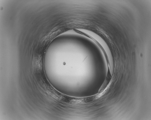 X0000059080170200510211551