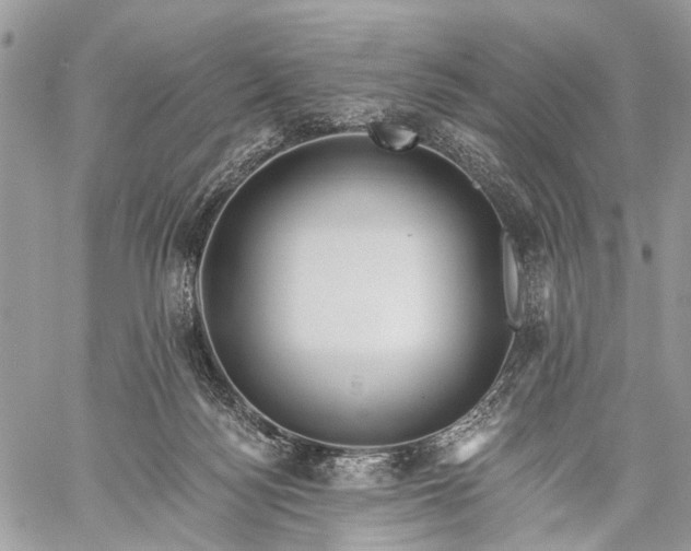 X0000059080172200510211551