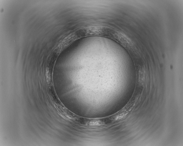 X0000059080173200510211551