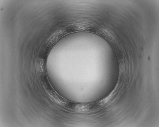 X0000059080174200510211551