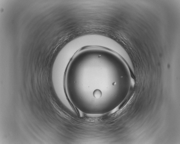 X0000059080175200510211551