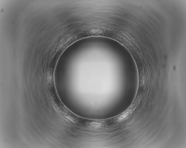 X0000059080176200510211551