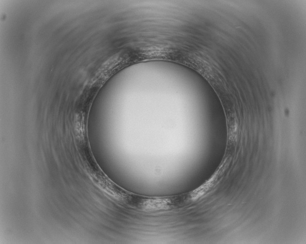 X0000059080179200510211551