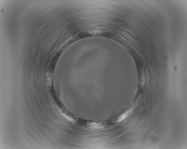 X0000059080180200510211551