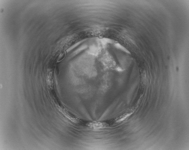 X0000059080181200510211551