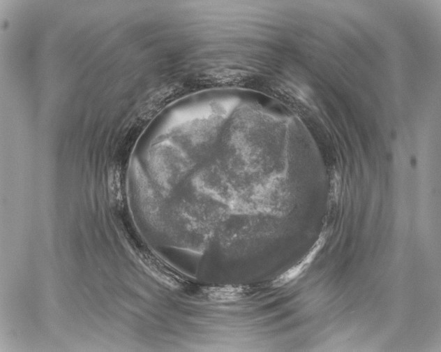 X0000059080182200510211551