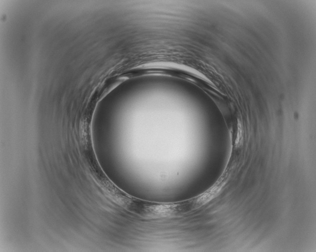 X0000059080184200510211551