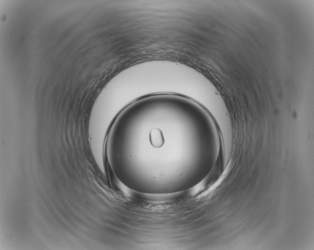 X0000059080186200510211551