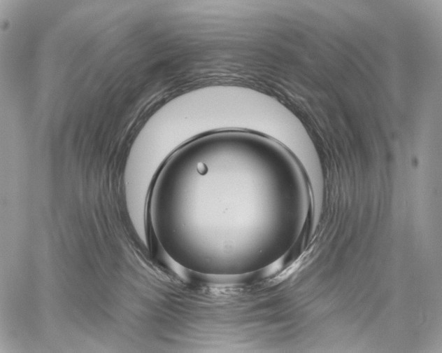 X0000059080188200510211551