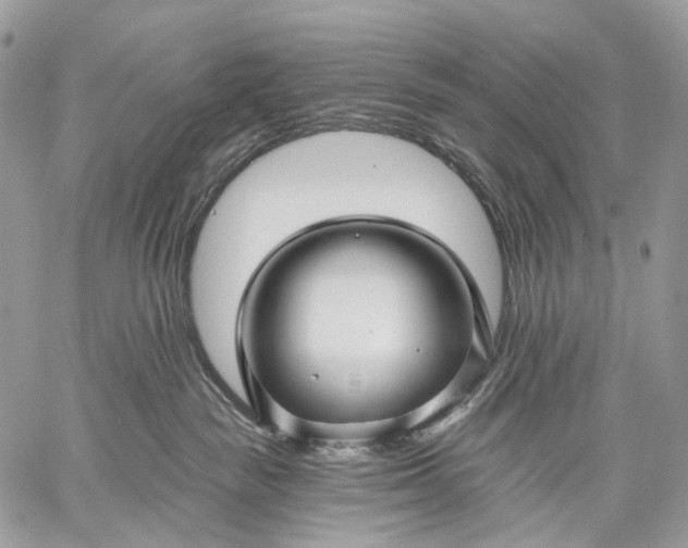 X0000059080189200510211551