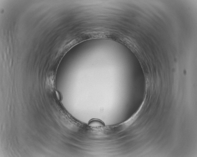 X0000059080190200510211551