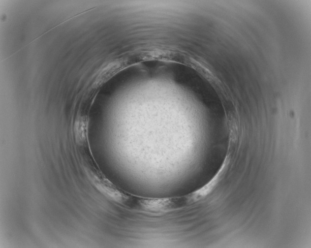 X0000059080191200510211551