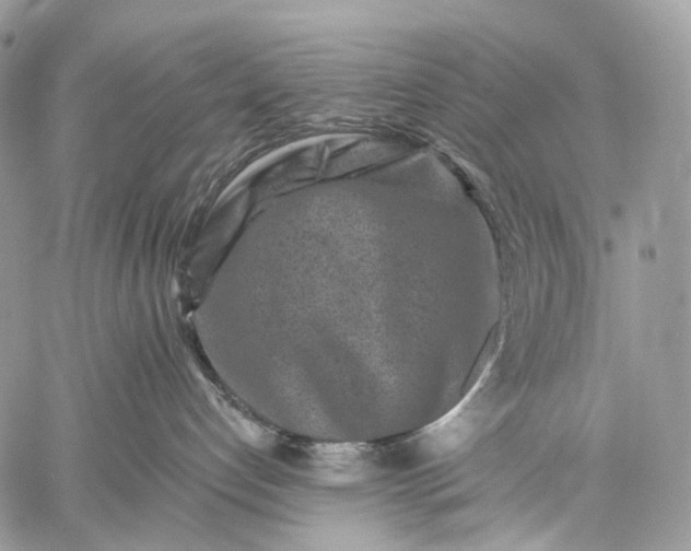 X0000059080192200510211551