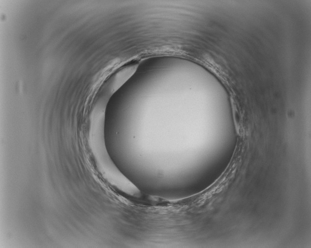 X0000059080193200510211550