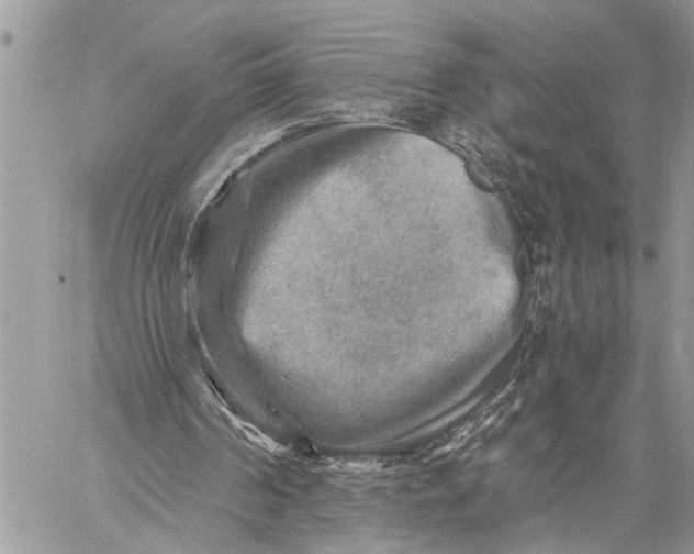 X0000059080194200510211550