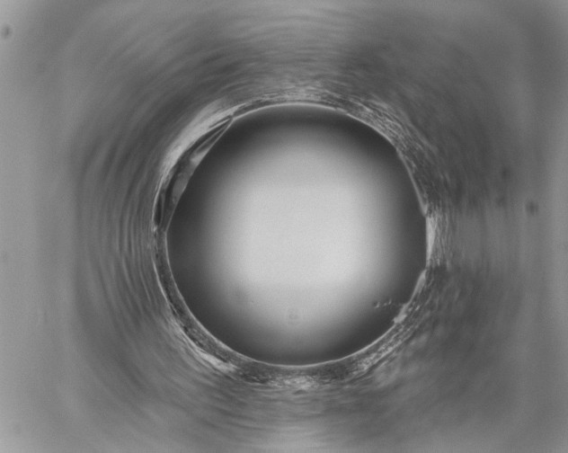 X0000059080195200510211550