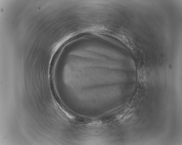 X0000059080196200510211550