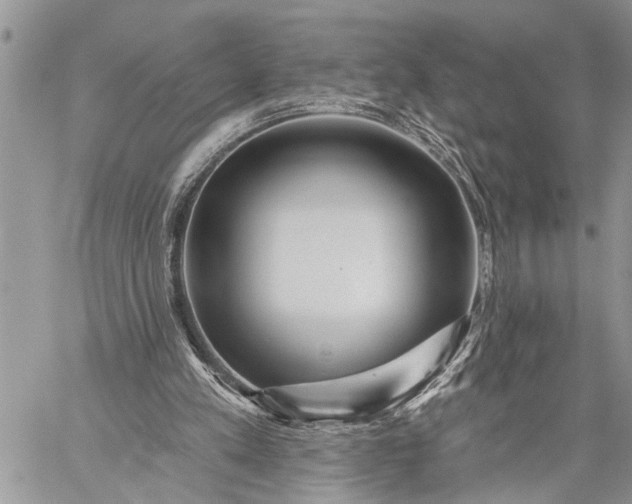 X0000059080197200510211550