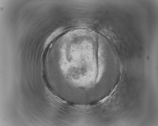 X0000059080198200510211550