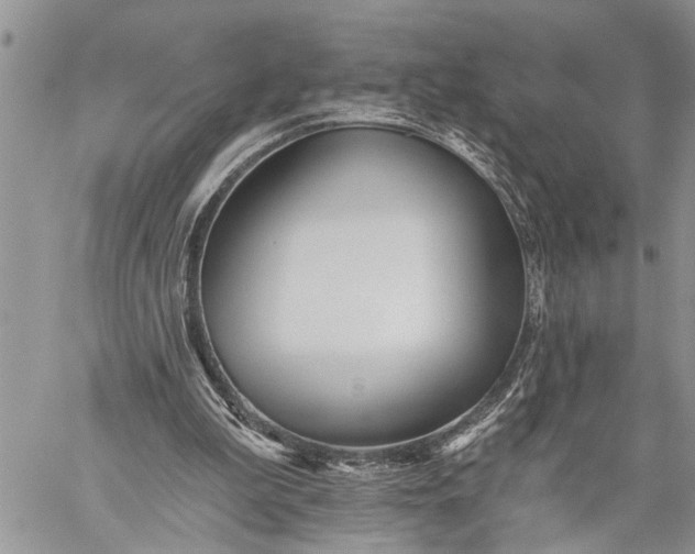 X0000059080199200510211550