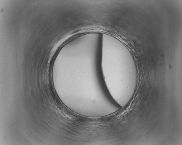 X0000059080200200510211550