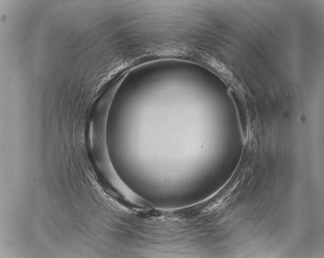 X0000059080201200510211550