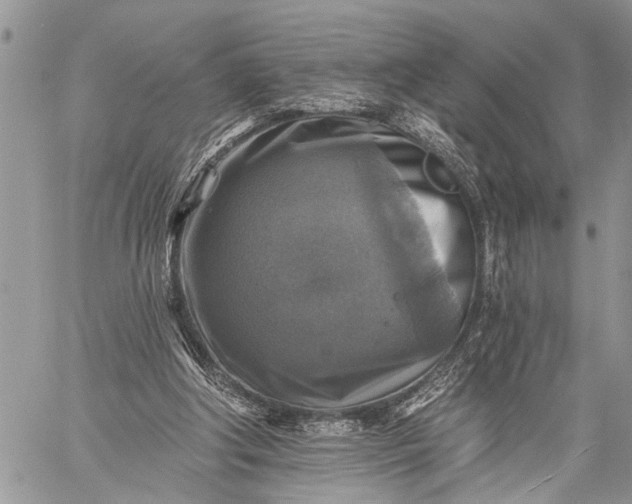 X0000059080202200510211550