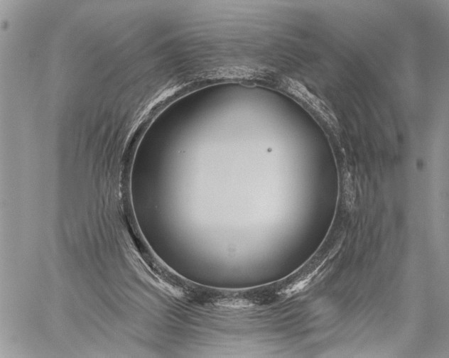 X0000059080203200510211550