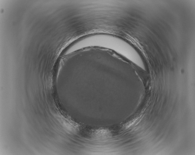 X0000059080204200510211550