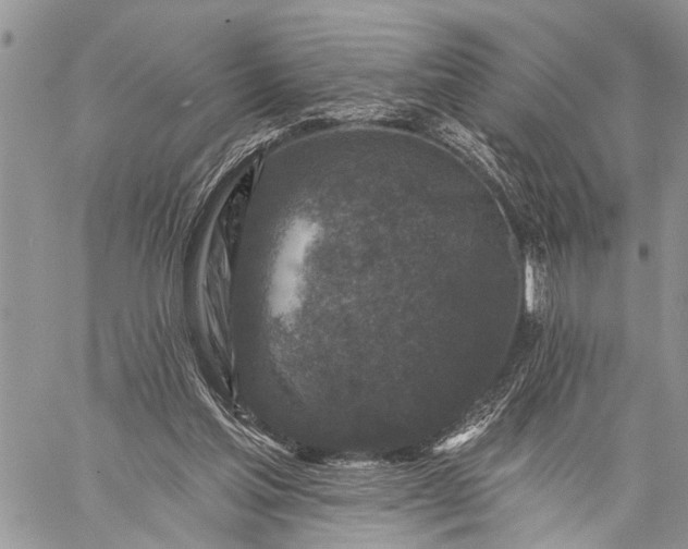 X0000059080205200510211550