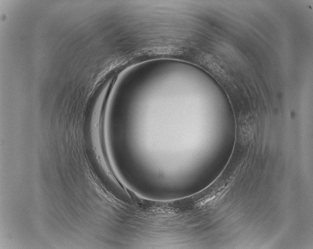 X0000059080207200510211550