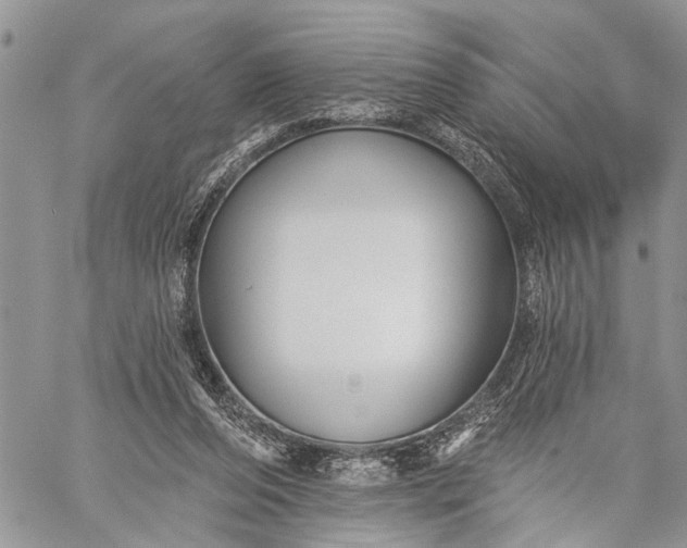 X0000059080208200510211550