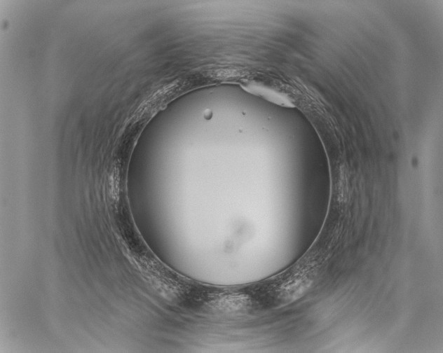 X0000059080210200510211550