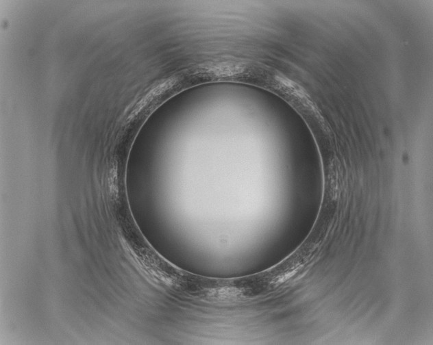 X0000059080212200510211550