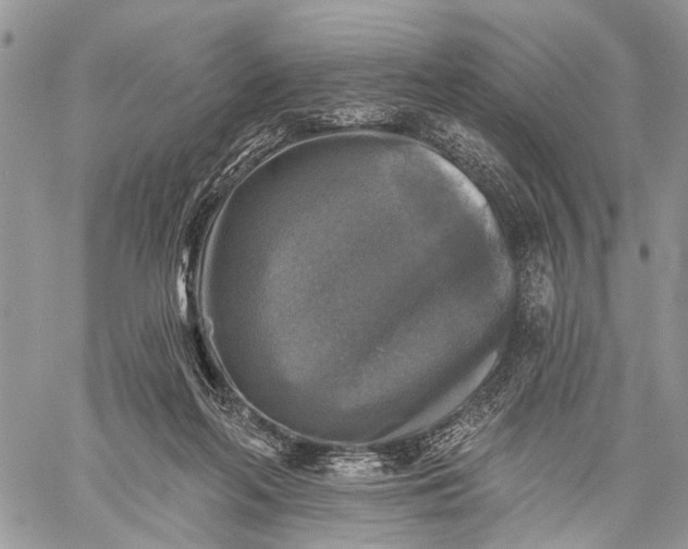 X0000059080214200510211550