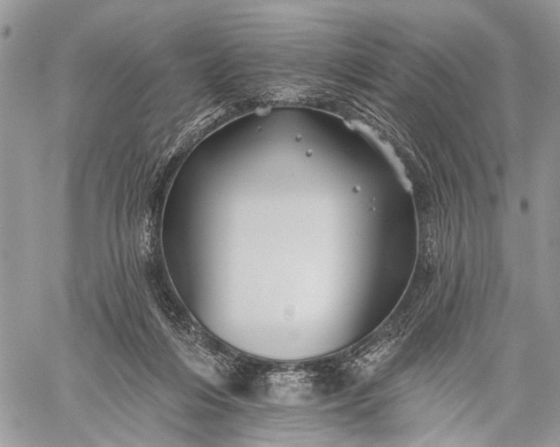 X0000059080216200510211550