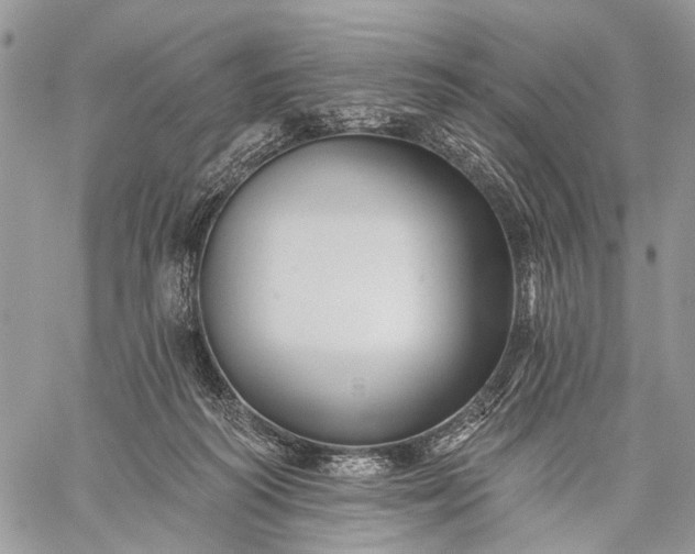 X0000059080218200510211550