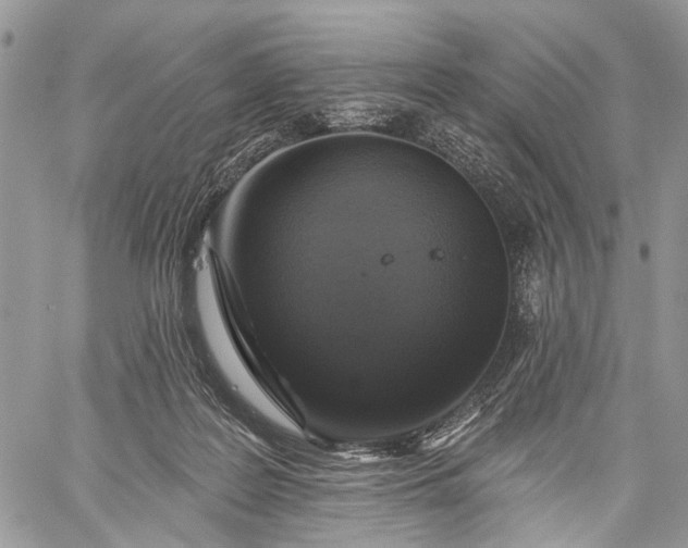 X0000059080219200510211550